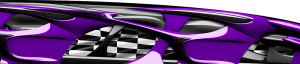Custom Vandal Purple Graphics