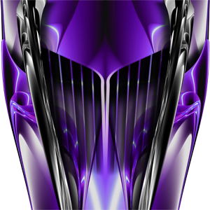 Custom Warrant Purple Graphics