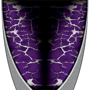 Custom Brushed Metal Purple Graphics