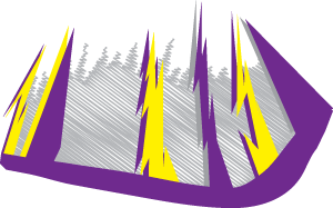 Custom Purple Bolt Graphics