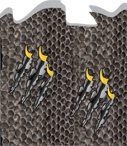 Custom Snake Skin Graphics
