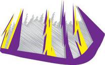 Custom Purple Bolt Graphics